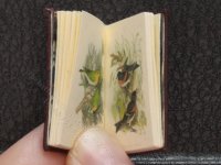 (image for) Miniature Book: 'Birds Drawn From Nature'
