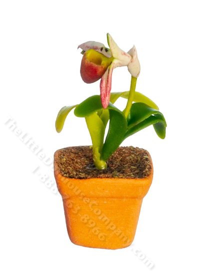 (image for) Miniature Orchid Plant for Dollhouses