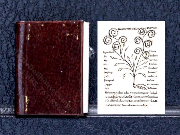 (image for) Miniature Book: 'Herbarius'