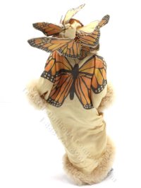 (image for) Madame Butterfly by James Carrington