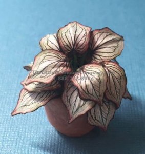 (image for) Miniature House Plant Kit For Dollhouses