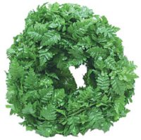 (image for) 10 Ft Mini Fern Roping Green