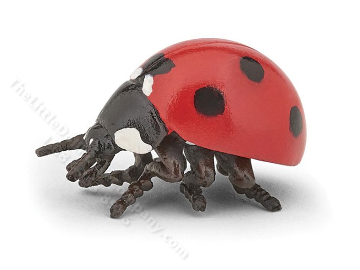 (image for) Miniature Oversized Ladybug for Dollhouses