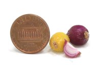 (image for) Miniature Cuttable Yellow Onion