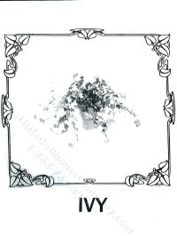 (image for) Miniature Potted Ivy Plant Kit