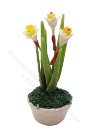 (image for) Miniature Daffodils in Pot for Dollhouses