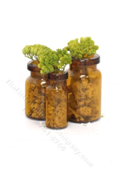 (image for) Miniature Set of 3 Vases with Coral/Flowers by PRD Miniatures