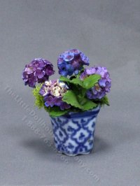 (image for) Miniature Purple Hydrangea in a Blue Ceramic Pot