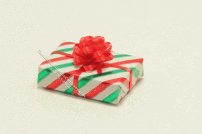 (image for) Dollhouse Miniature Christmas Gift