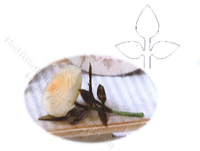 (image for) Miniature Rose Pinnate Laser Cut Leaves Kit