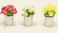 (image for) Miniature Daisies in Silver Bucket