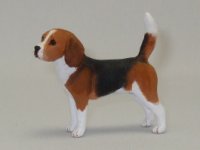 (image for) Miniature Standing Tricolour Beagle by Karl Blindheim