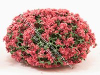 (image for) Miniature 1/2 inch Red Mound Bush (5 pcs) for Dollhouses