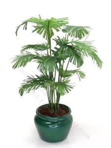 (image for) Miniature Potted Parlour Palm by Mini Creations by Judy