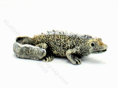 (image for) Miniature Iguana for Dollhouses