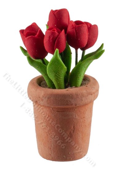 (image for) Miniature Red Tulips in Terracotta Pots