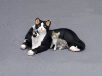 (image for) Miniature Tuxedo Cat and Kittens