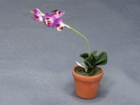 (image for) Miniature Pink Orchid Plant for Dollhouses