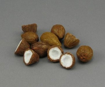 (image for) Dollhouse Scale Model Coconut