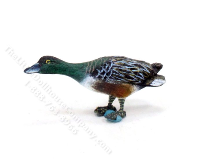 (image for) Miniature Male Northern Shoveler Duck for Dollhouses
