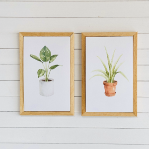 (image for) Miniature Pair Framed Potted Monstera and Aloe on Wood