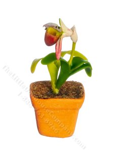 (image for) Miniature Orchid Plant for Dollhouses