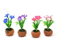 Miniature Rain Lily Flowers in Terracotta Pot (image for) Miniature Rain Lily Flowers in Terracotta Pot