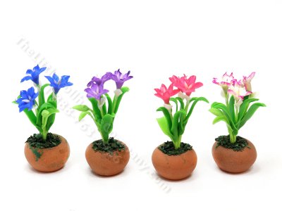 (image for) Miniature Rain Lily Flowers in Terracotta Pot