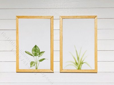 (image for) Miniature Pair Framed Monstera and Aloe on Wood
