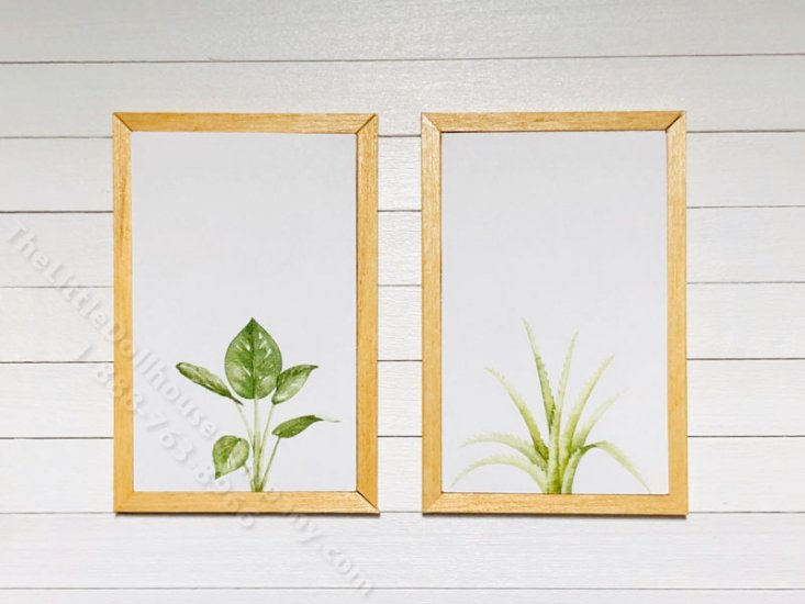(image for) Miniature Pair Framed Monstera and Aloe on Wood