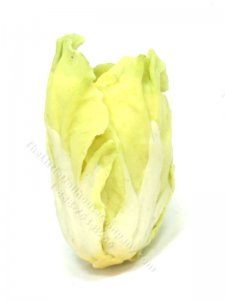 (image for) Miniature Cuttable Head of Romaine Lettuce