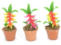 (image for) Miniature Potted Bird of Paradise Flowers (1 pc)