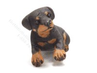 (image for) Miniature Sitting Rottweiler Puppy by Karl Blindheim