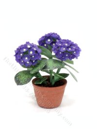 (image for) Miniature Potted Hydrangeas by Barb Plevan