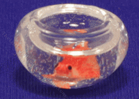 (image for) Miniature Goldfish in Round Bowl