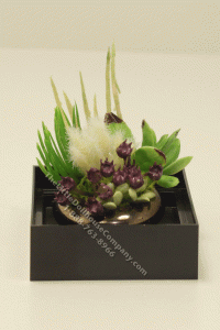 (image for) Dollhouse Miniature Succulent