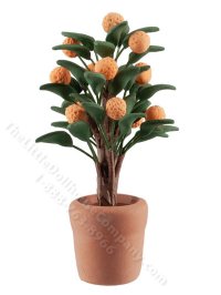 (image for) Miniature Orange Tree in Terra-Cotta Pot