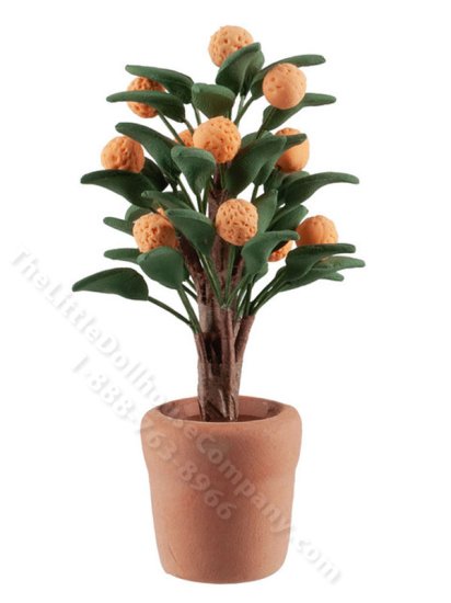 (image for) Miniature Orange Tree in Terra-Cotta Pot