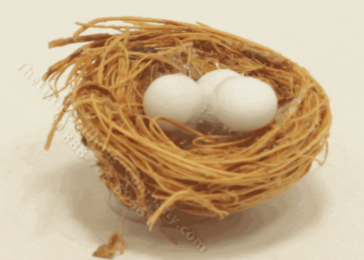 (image for) Miniature Bird Nest with White Eggs