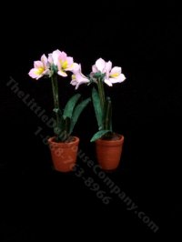 (image for) Handmade Miniature 1:48 Scale Flowers by Paula Gilhooley