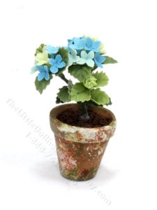 (image for) Miniature Blue Hydrangea in a Pot