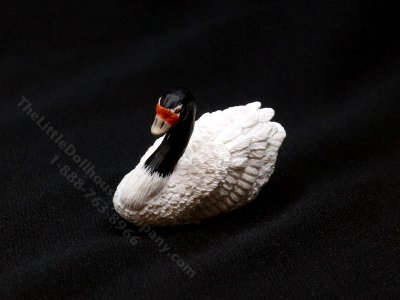 (image for) Dollhouse Scale Model Black-necked Swan