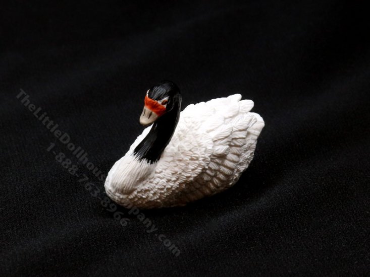 (image for) Dollhouse Scale Model Black-necked Swan
