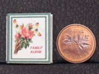 (image for) Miniature Vintage Green and White Floral Family Album