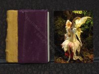 (image for) Miniature Book: 'Faeries'