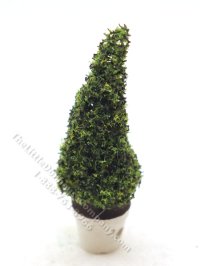 (image for) Miniature 2-1/2" Spruce Topiary in White Pot for Dollhouses