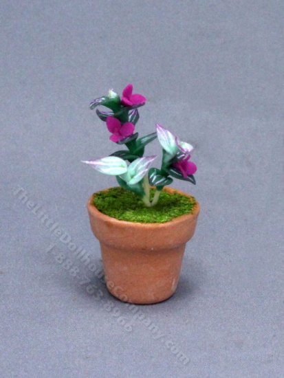 (image for) Miniature Potted Spiderwort Plant for Dollhouses