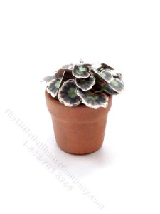 (image for) Miniature Rex Begonia Plant for Dollhouses