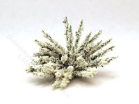 (image for) Miniature White Blossom Bush for Dollhouses