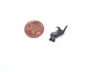 (image for) Dollhouse Scale Kitten